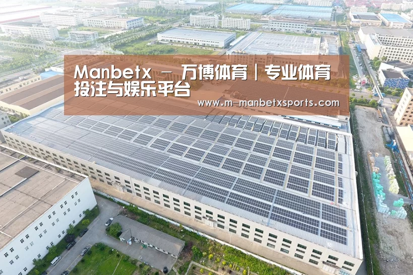 案例展示二