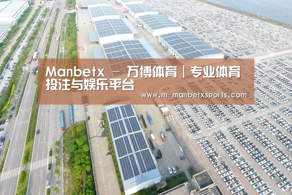 案例展示一
