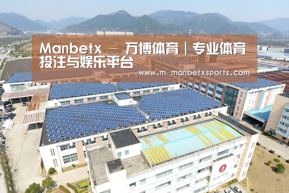 案例展示三
