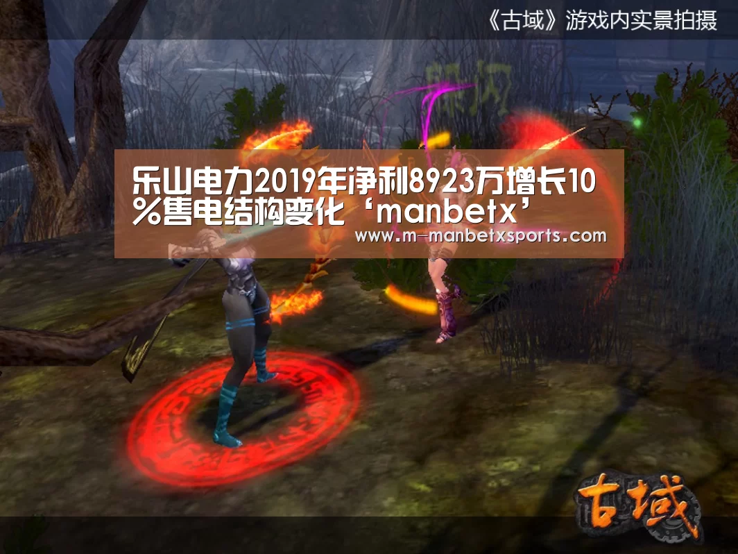 乐山电力2019年净利8923万增长10%售电结构变化‘manbetx’(图2) manbetx sports