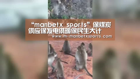 “manbetx sports”保煤炭供应保发电供暖保民生大计(图1) manbetx sports
